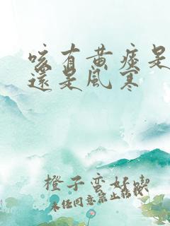 咳有黄痰是风热还是风寒