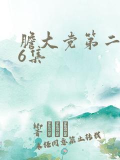 胆大党第二季第6集