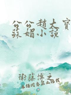 公公赵大宝儿媳苏媚小说