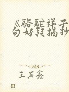 《骆驼祥子》好句好段摘抄