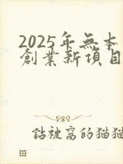 2025年无本创业新项目新商机
