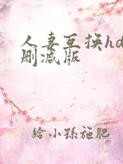 人妻互换hd无删减版