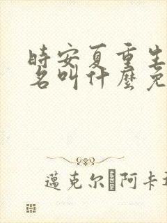 时安夏重生小说名叫什么免费阅读