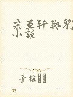 宋亚轩与刘耀文小说