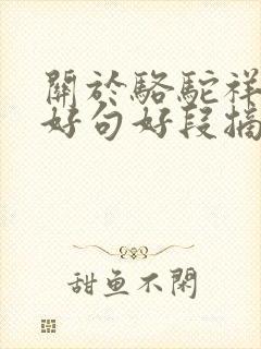 关于骆驼祥子的好句好段摘抄