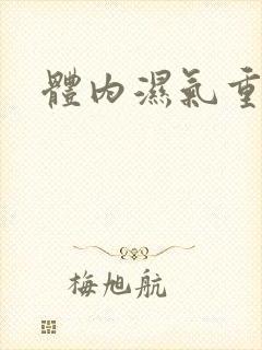 体内湿气重有痰