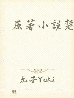 原著小说楚乔传