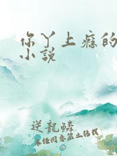 你丫上瘾的原著小说