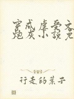 穿成虐受文里的炮灰小说免费阅读