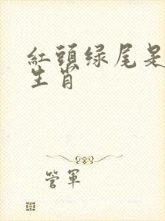 红头绿尾是什么生肖