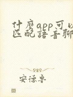 什么app可以匹配语音聊天