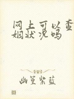 网上可以查到婚姻状况吗
