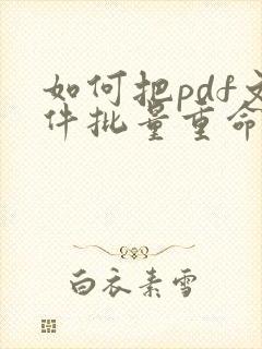 如何把pdf文件批量重命名