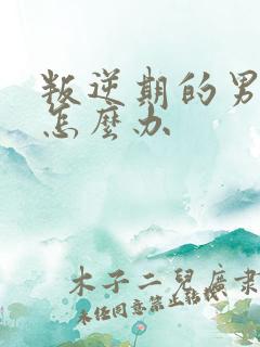 叛逆期的男孩子怎么办