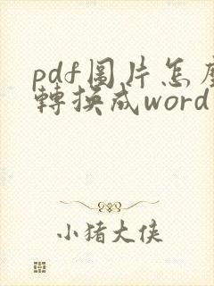 pdf图片怎么转换成word文档编辑