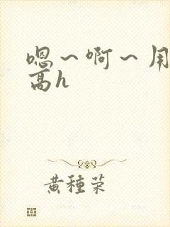 嗯～啊～用力～高h