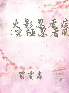火影忍者疾风传:究极忍者风暴3