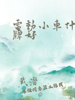 电动小车什么品牌好