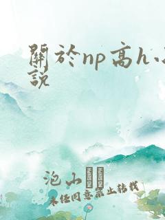 关于np高h小说
