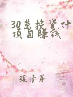 30万投资什么项目赚钱