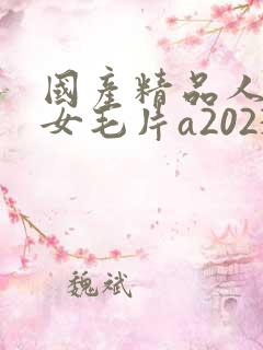 国产精品人妻熟女毛片a2023