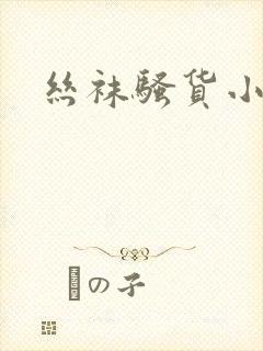 丝袜骚货小说h