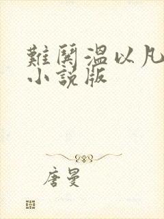 难哄温以凡桑延小说版