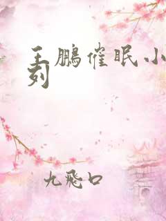 王鹏催眠小说系列