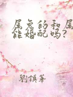属兔的和属龙的能婚配吗?
