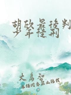 胡欣最后判了多少年徒刑