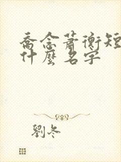 乔念萧衡短剧叫什么名字