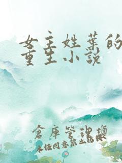 女主姓叶的军旅重生小说