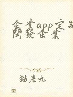 企业app定制开发企业