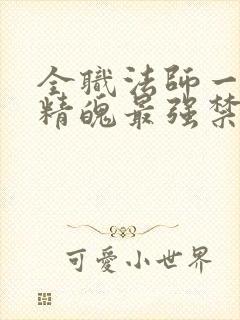 全职法师一天一精魄最强禁咒免费