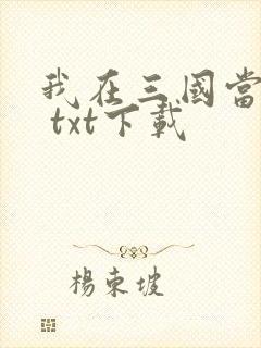 我在三国当混蛋 txt下载