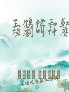 王鹤棣和郑恺电视剧叫什么名字