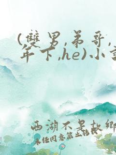 (双男,弟哥,年下,he)小说