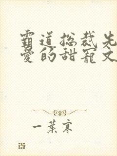 霸道总裁先婚后爱的甜宠文小说