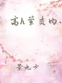 高h荤爽肉小说
