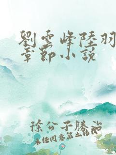刘云峰陆羽最新章节小说