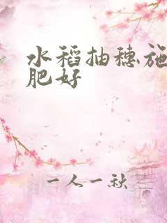 水稻抽穗施什么肥好