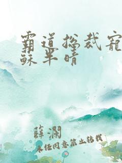 霸道总裁宠上天苏半晴