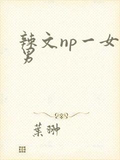 辣文np一女多男