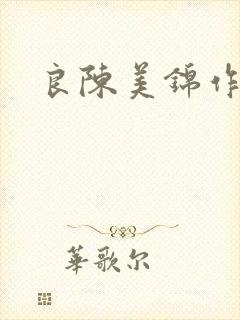 良陈美锦作者