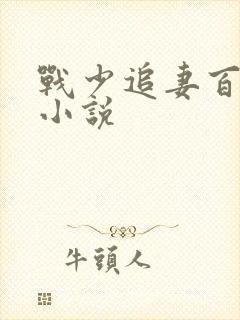 战少追妻百分百小说
