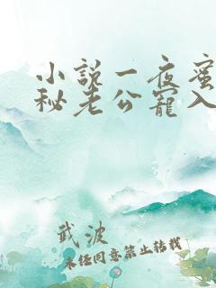 小说一夜蜜婚神秘老公宠入怀