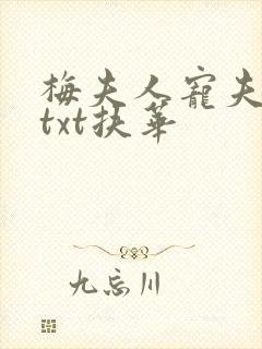 梅夫人宠夫日常txt扶华