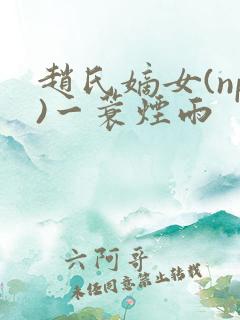 赵氏嫡女(np)一蓑烟雨