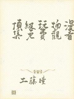 顶级玩物漫画全集免费观看30