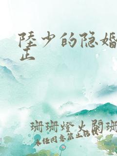 陆少的隐婚罪妻正